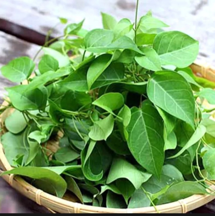 Hạt giống lá giang 5 hạt