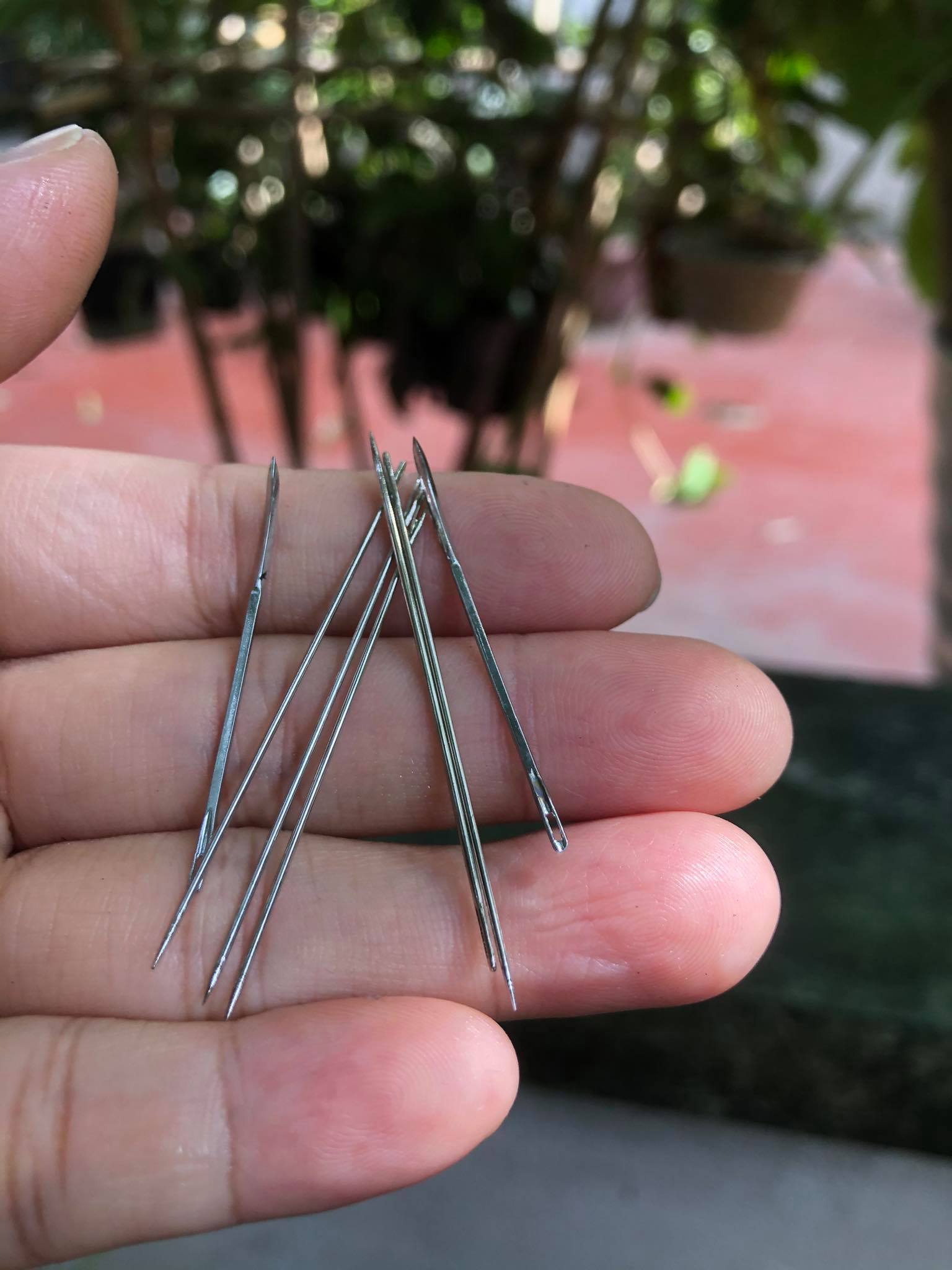 3 kim thẳng y tế khâu gà