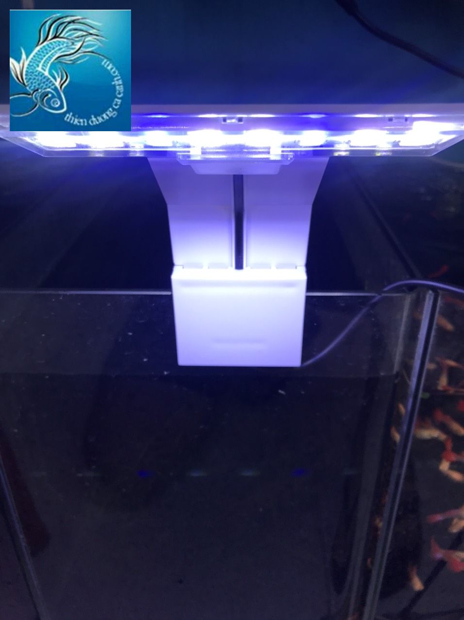 Đèn led kẹp thành hồ M 180 TRẮNG cho hồ cá cảnh- đèn led kẹp thành hồ- đèn hồ cá -đèn trang trí hồ cá cảnh nhỏ