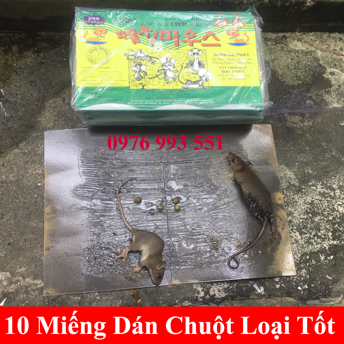 combo 20 miếng keo dán chuột loại xịn