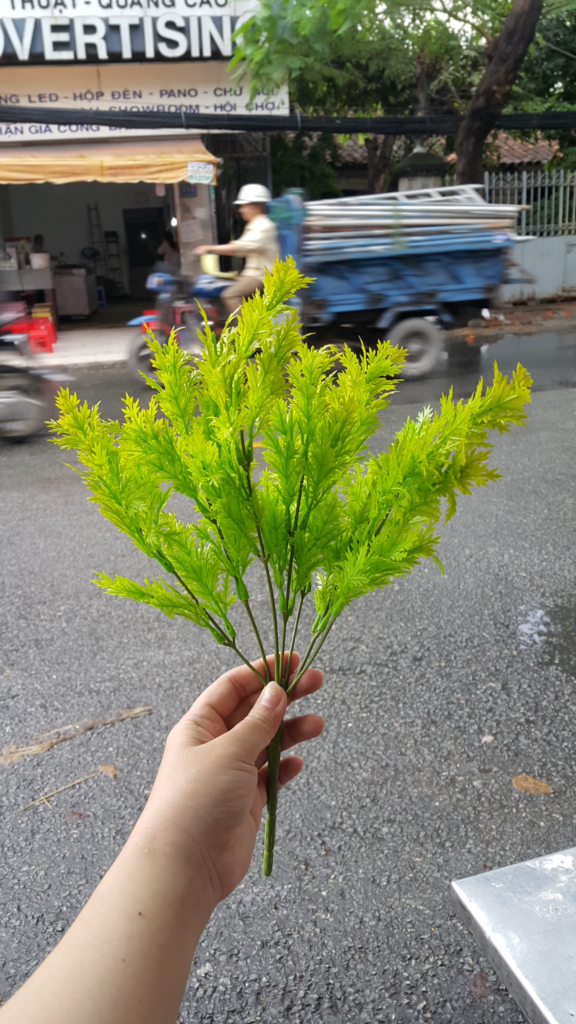 [HCM]1 Bụi lá ngò giả 7 nhánh - Hoa giả - Hương Flower