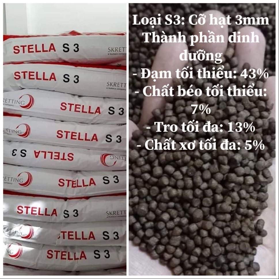 Thức ăn cá koi, cá 3 đuôi stella size s3 gói chiết 0.5kg và 1kg a033. hàm lượng protein cao giúp tiêu hóa tốt và giúp cá phát triển nhanh chống.
