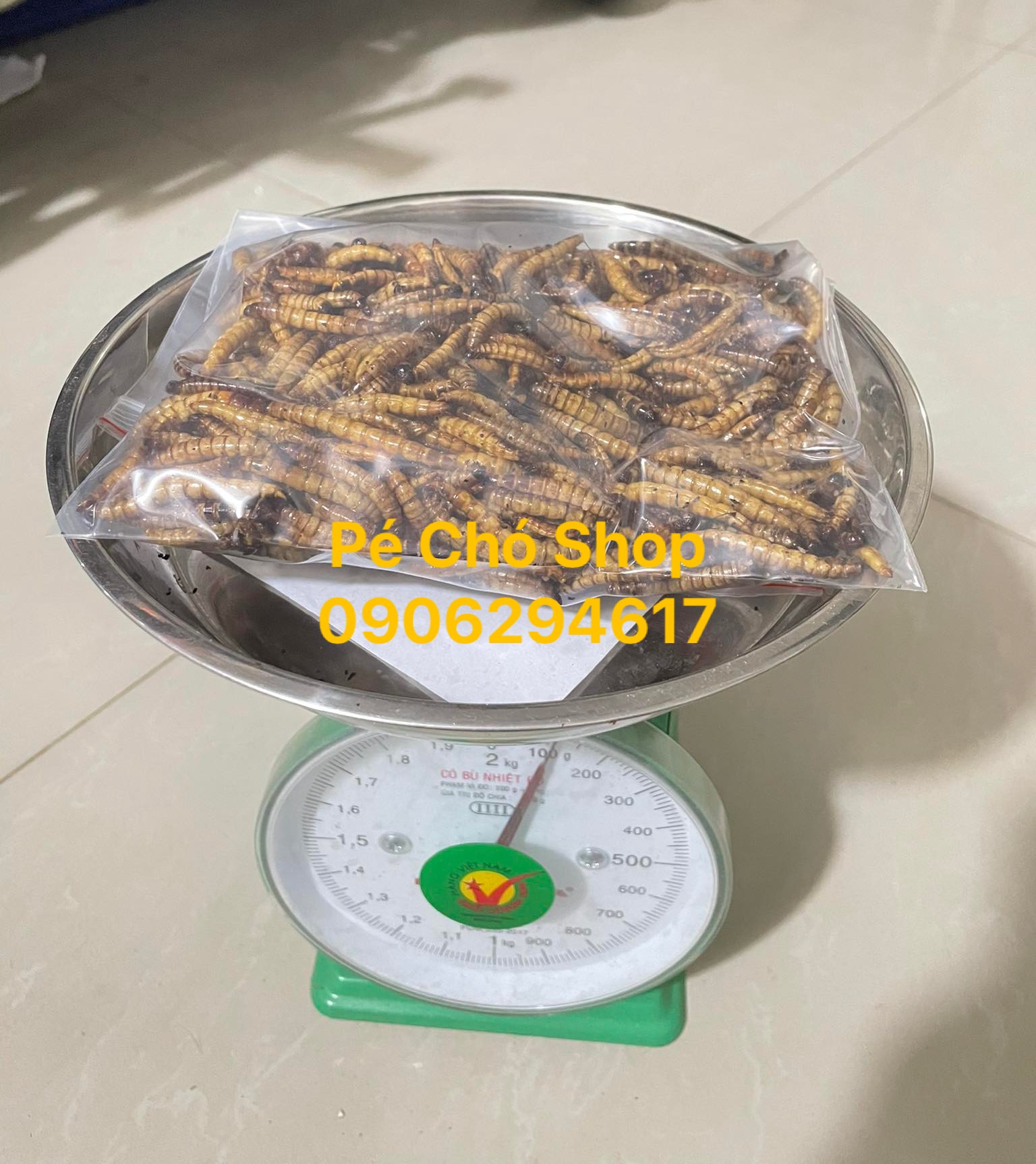 100gram Sâu Supper Worm rang khô tại shop béo thơm cho hamster,nhím,sugar,sóc,rat..