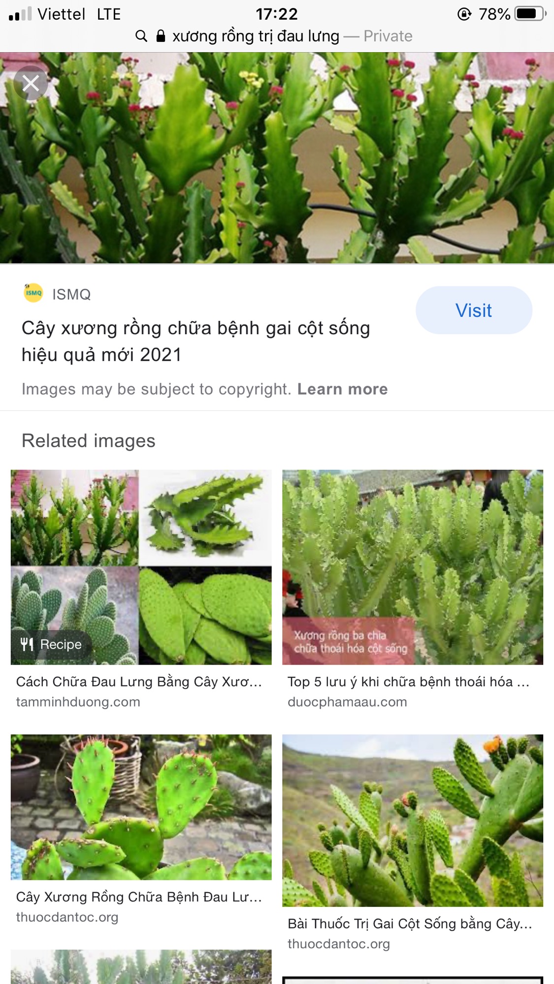 Combo lá xương rồng ba cạnh 1kg