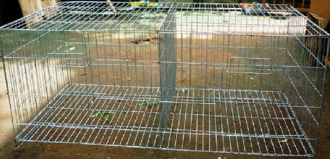 LỒNG NUÔI CHIM BỒ CÂU KHÔNG PHỤ KIỆN-LỒNG NUÔI CHIM GIÁ RẺ-LỒNG CHIM