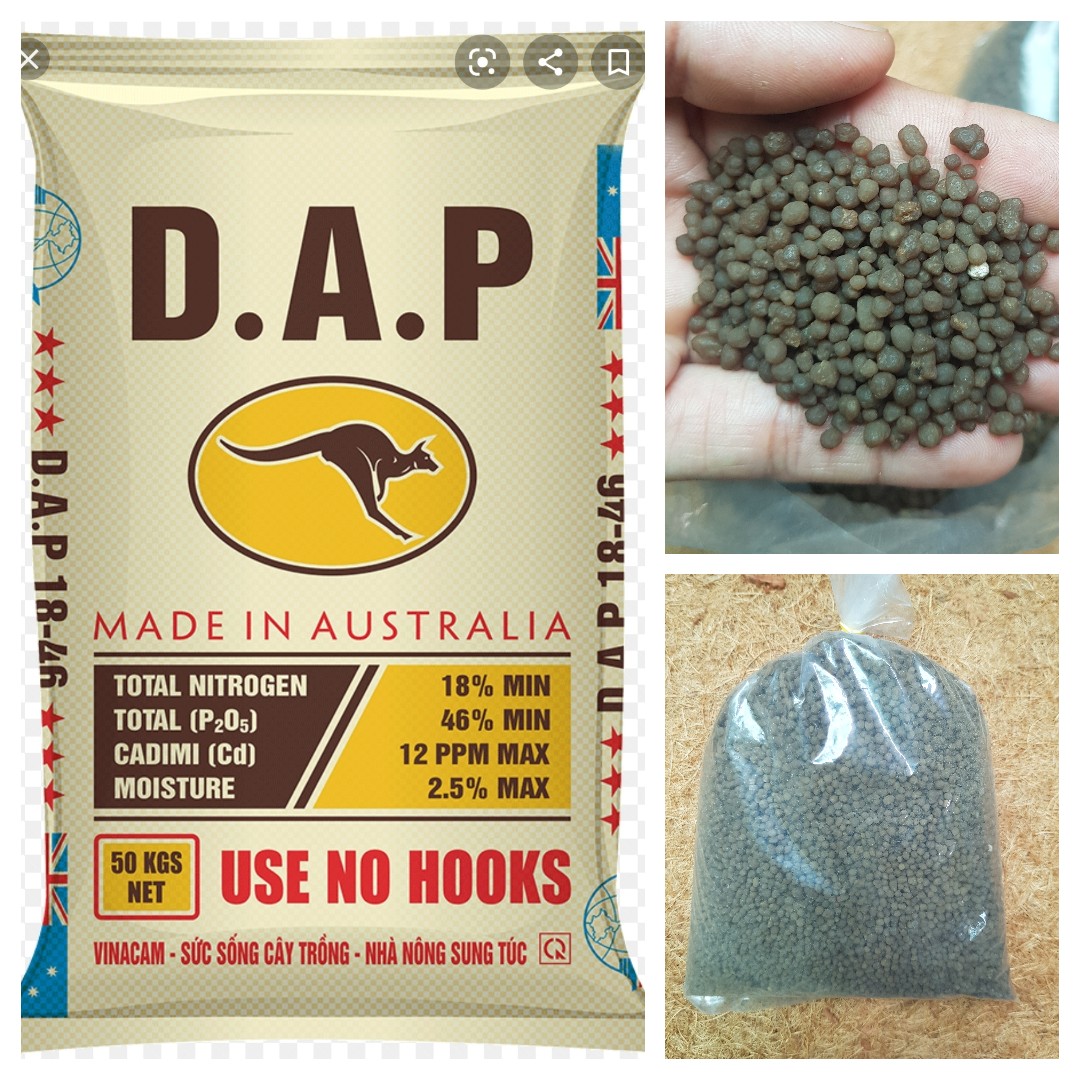 Phân DAP 18 46 0 400gr bón sen súng ra hoa Minh Hân Garden