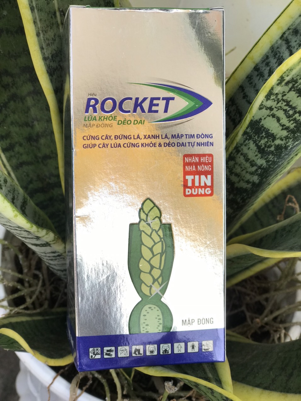 CỨNG CÂY ĐỨNG LÁ XANH LÁ ROCKET 500ML [Chính hãng]