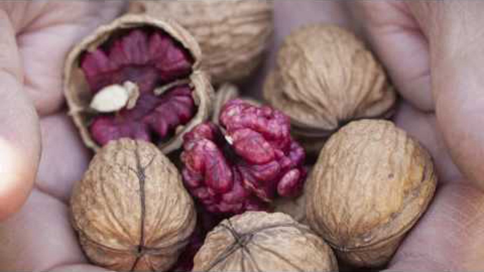 Óc chó đỏ 1 kg