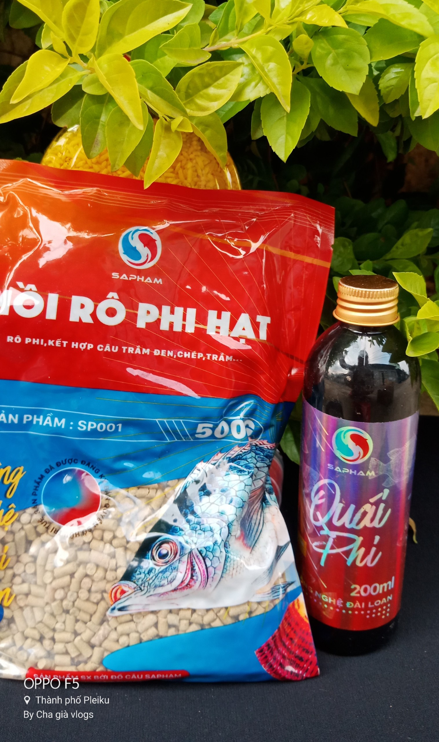 COMBO mồi rô phi hạt sap phạm VÀ quái phi sa phạm