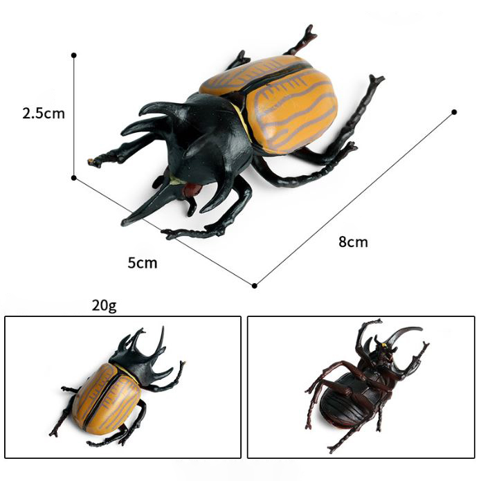 Mô hình bọ hung 5 sừng Bọ hung đen Stag Beetle Bọ hươu cầu vồng