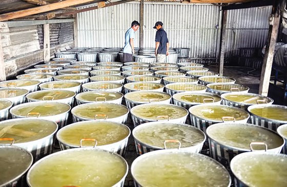 1KG ĐƯỜNG PHÈN VÀNG (NHẠT) KHÔNG PHẨM MÀU MẬT MÍA ĐẶC BIỆT QUẢNG NGÃI