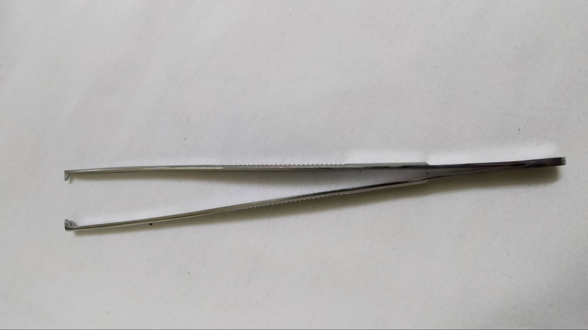 Nỉa thẳng có mấu và không mấu Pakistan