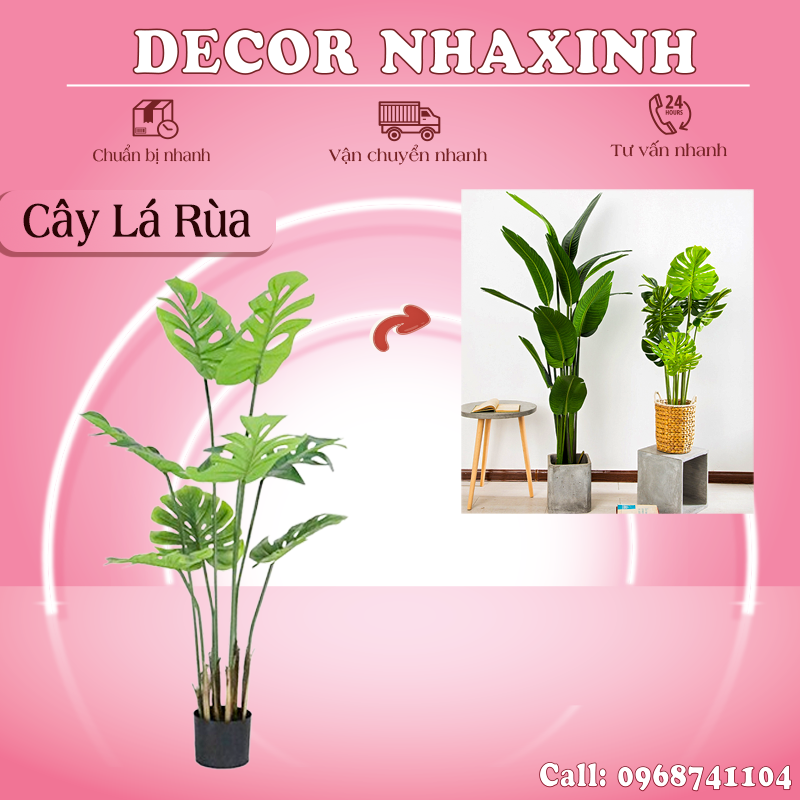 Cây Giả Decor Cây Lá Rùa Trang Trí Nhà Cửa Chất Liệu Nhưa PE Cây Giả Trang Trí Nội Thất Hiện Đại