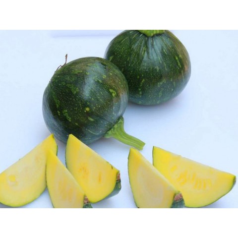 Hạt giống Bí ngồi quả tròn xanh_Bí ngô Bao Tử - Bí nụ bao tử