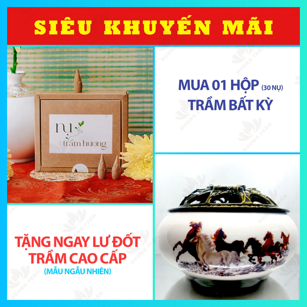 Mua nụ trầm hương cao cấp 30 nụ - tặng lư đốt trầm