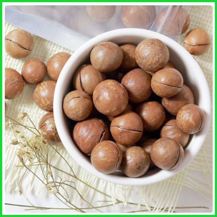 Hạt Macca, Hạt Macca Nứt Vỏ + Tặng Kèm Dụng Cụ Cầm Tay Tách Hạt Macca - 100g