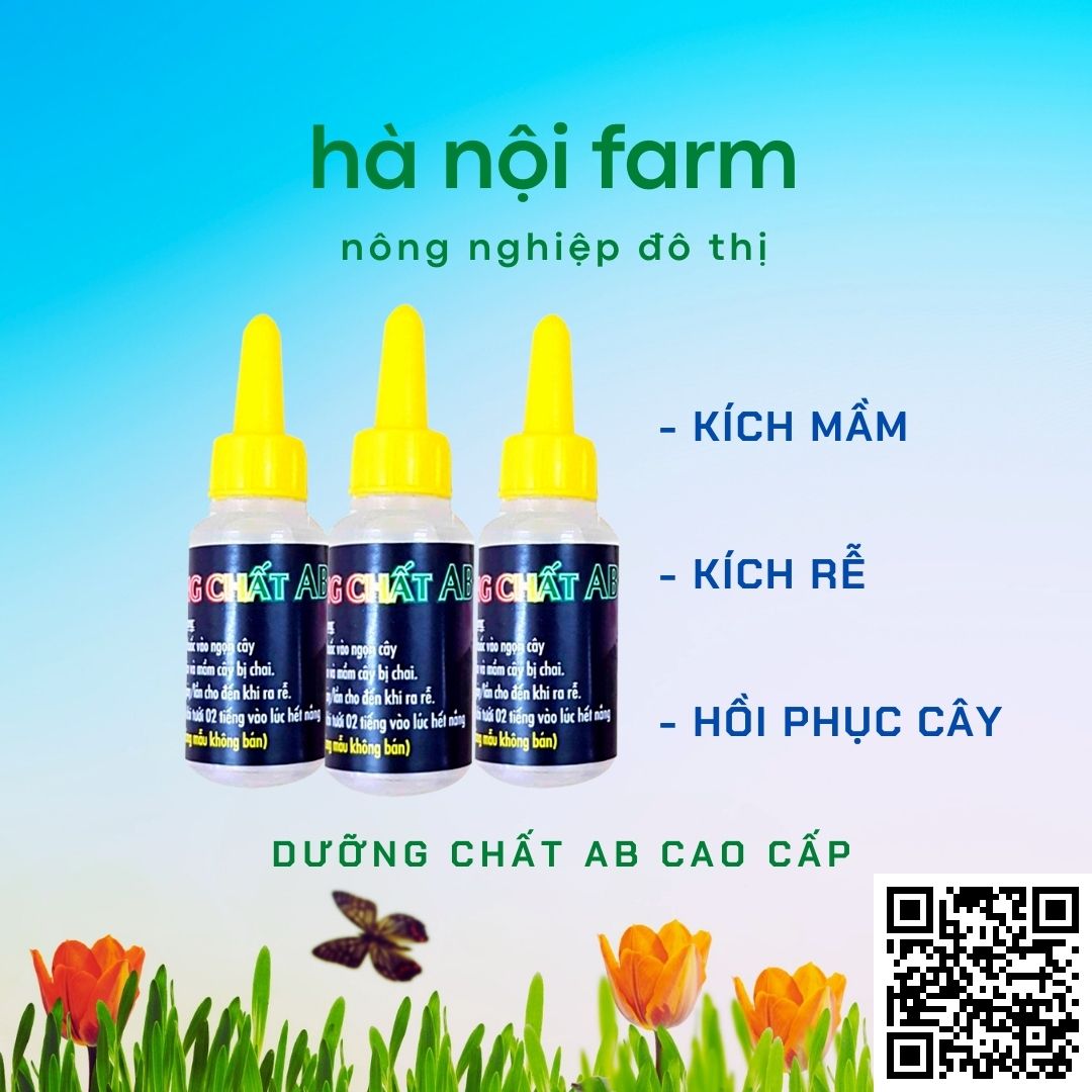 Dưỡng chất AB cho hoa lan - Nuôi dưỡng, kích thích mầm ki