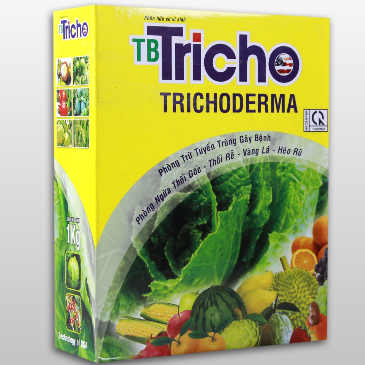 Nấm Đối Kháng Trichoderma , Phân Hữu Cơ Vi Sinh Tricoderma