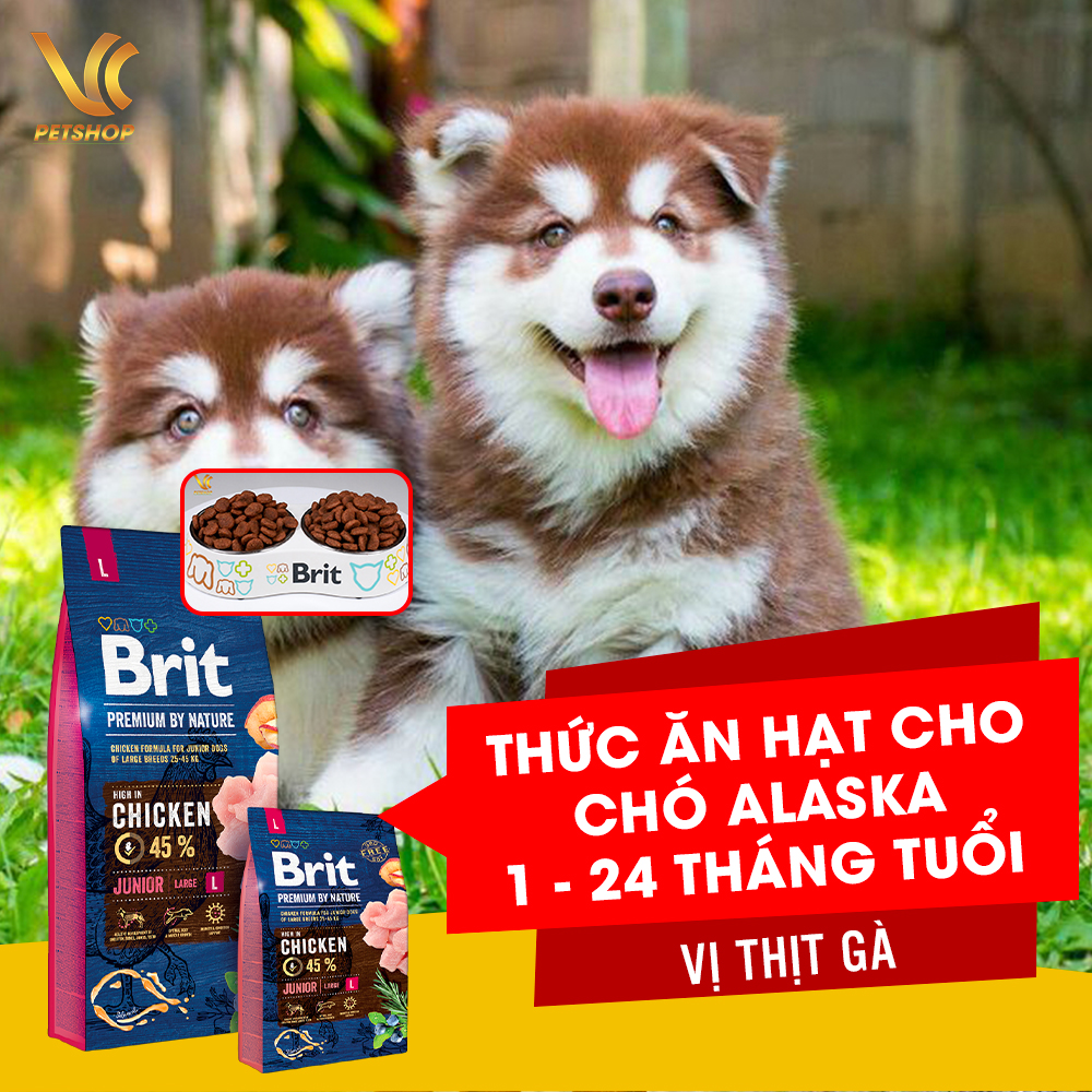 Giảm ₫] Thức ăn hạt cho chó alaska từ 24 tháng tuổi