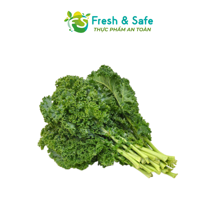 [HOẢ TỐC HCM] Cải Xoăn Kale - 300G/1KG