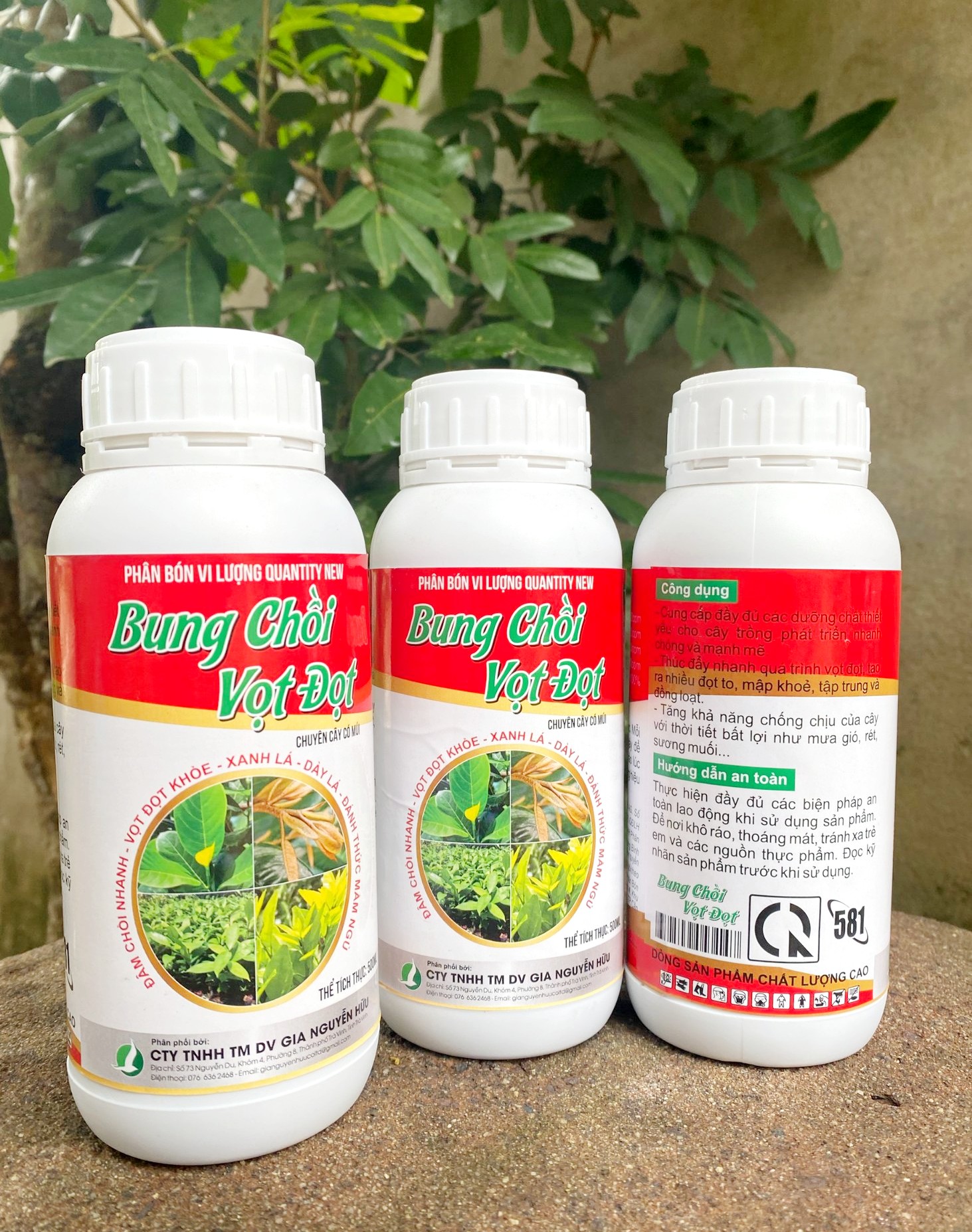 Phân bón bung chồi mạnh, đọt to khoẻ chuyên dùng cây ăn trái - chai 500ml