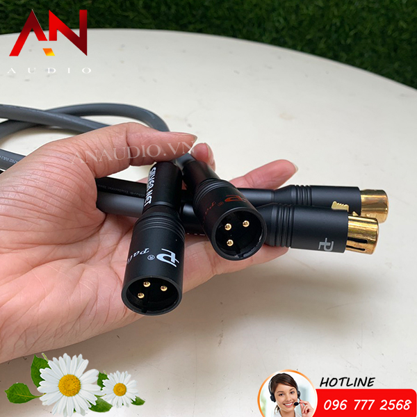 Dây Balance bãi Mỹ Monster - Jack Palic 1m