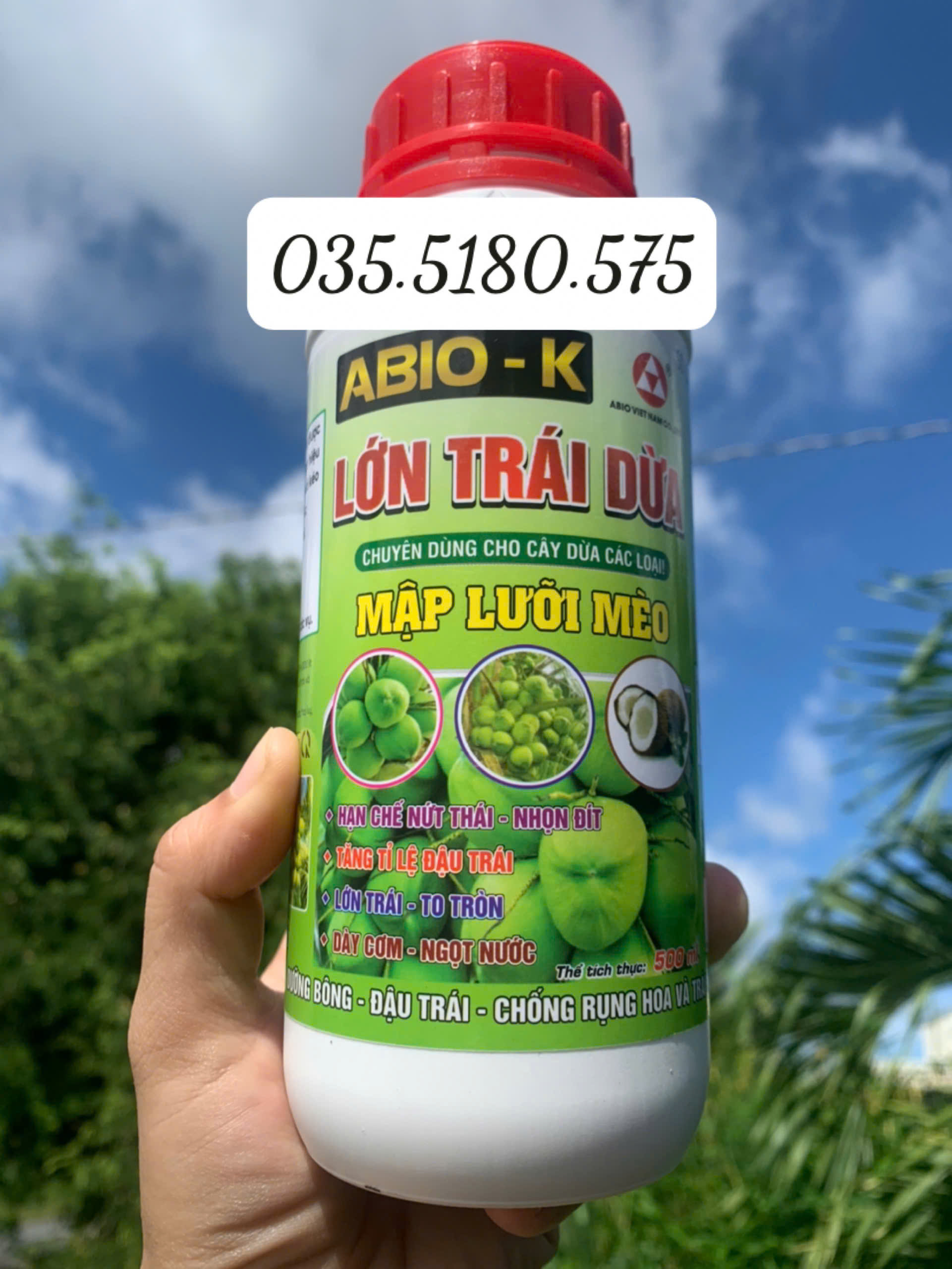Chuyên lớn trái dừa - Mập lưỡi mèo chai 500ml