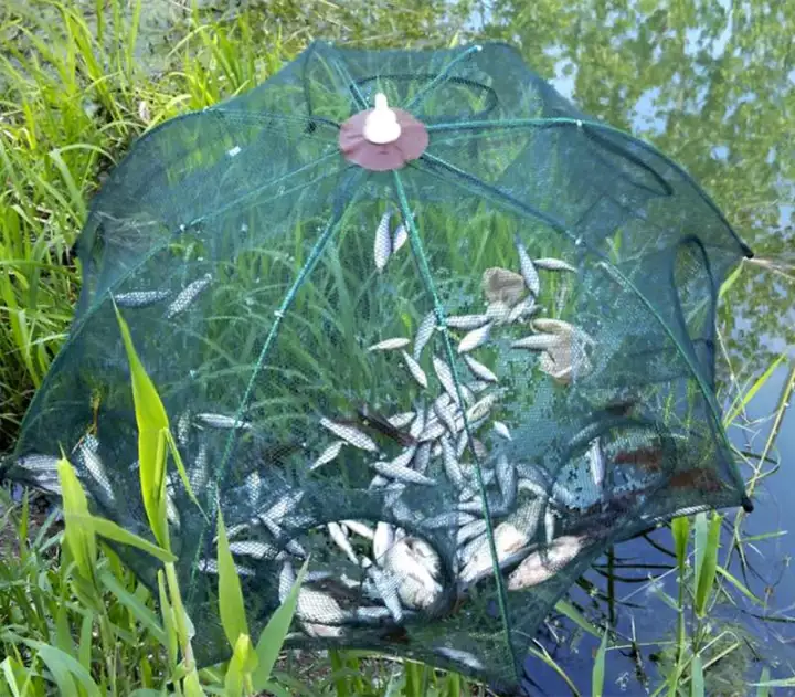 Lưới Đánh Bắt Cá Bát Quái - 16 Cửa Cao cấp chất liệu dây thép carbon công nghệ cao rất dẻo và bền đẹp không gỉ sét