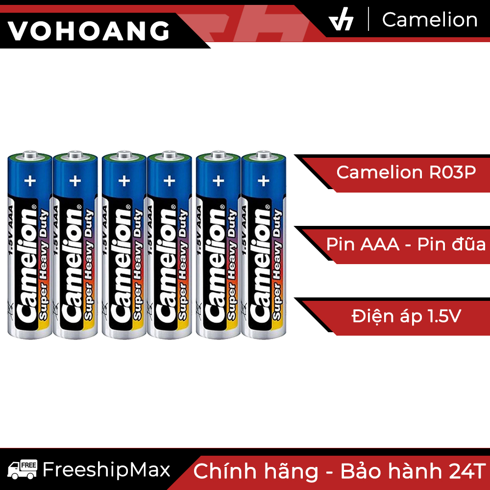 6 pin AAA Camelion R03P
