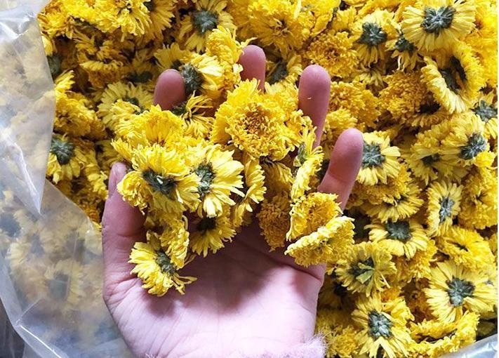  Trà Hoa Cúc Hưng Yên Sấy Khô Nguyên Bông 100gr 