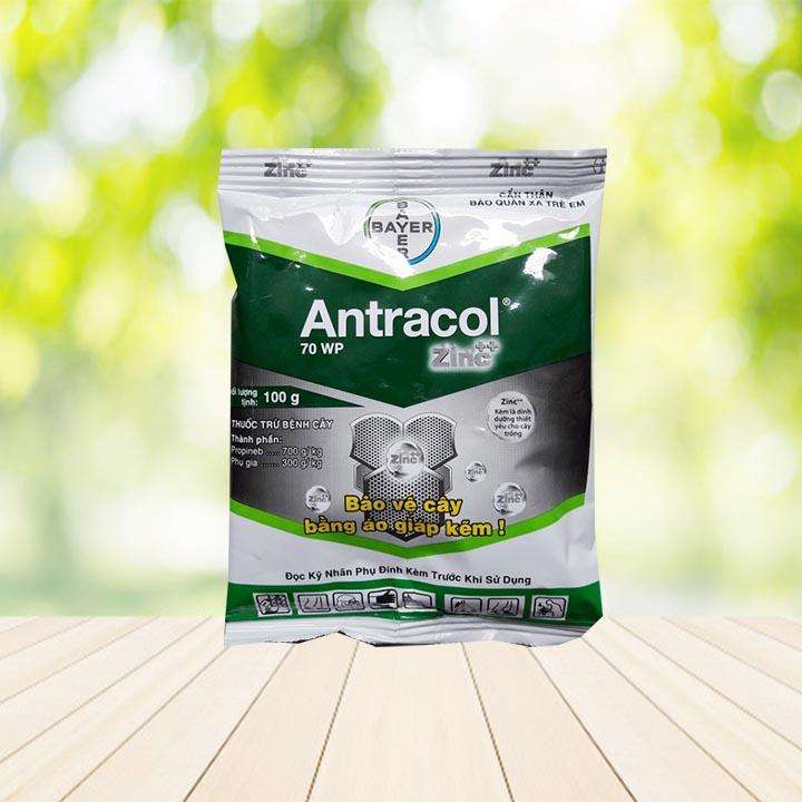 Phòng trừ vàng lá thối rễ thối gốc Antracol chuyên dùng cho phong lan cây