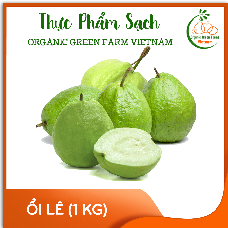 [OGF] - Ổi lê (1kg) - Giao nhanh HCM