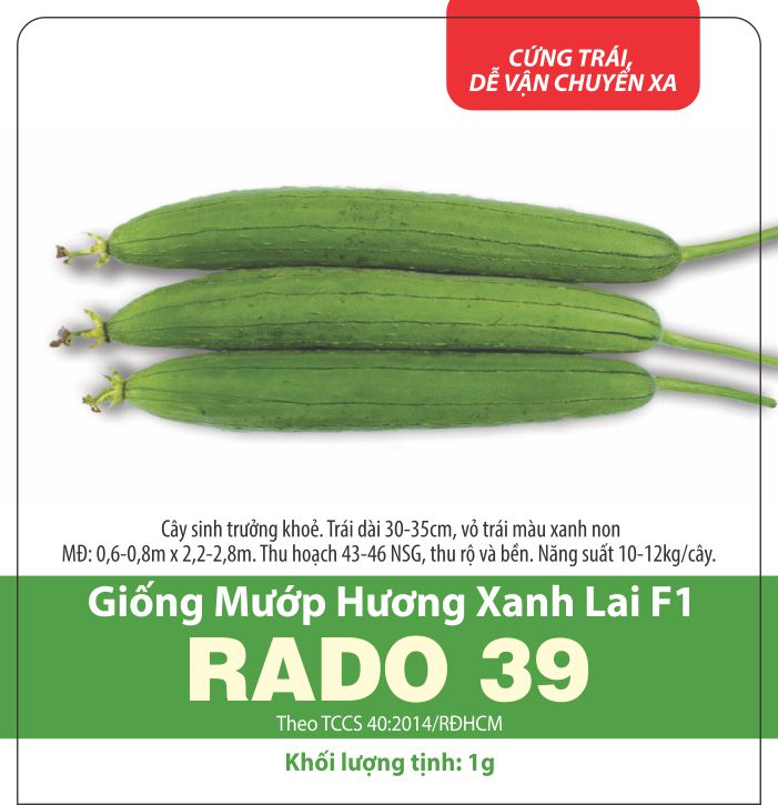 Hạt Giống Mướp Hương Xanh Lai F1 Dễ Trồng Thơm Ngọt, sai trái