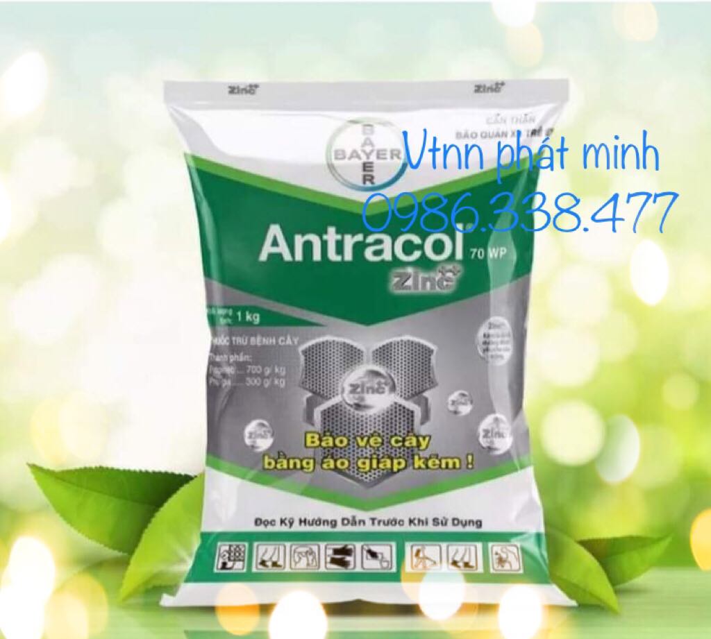 Thuốc trừ bệnh cây trồng antracol 70wp 1kg