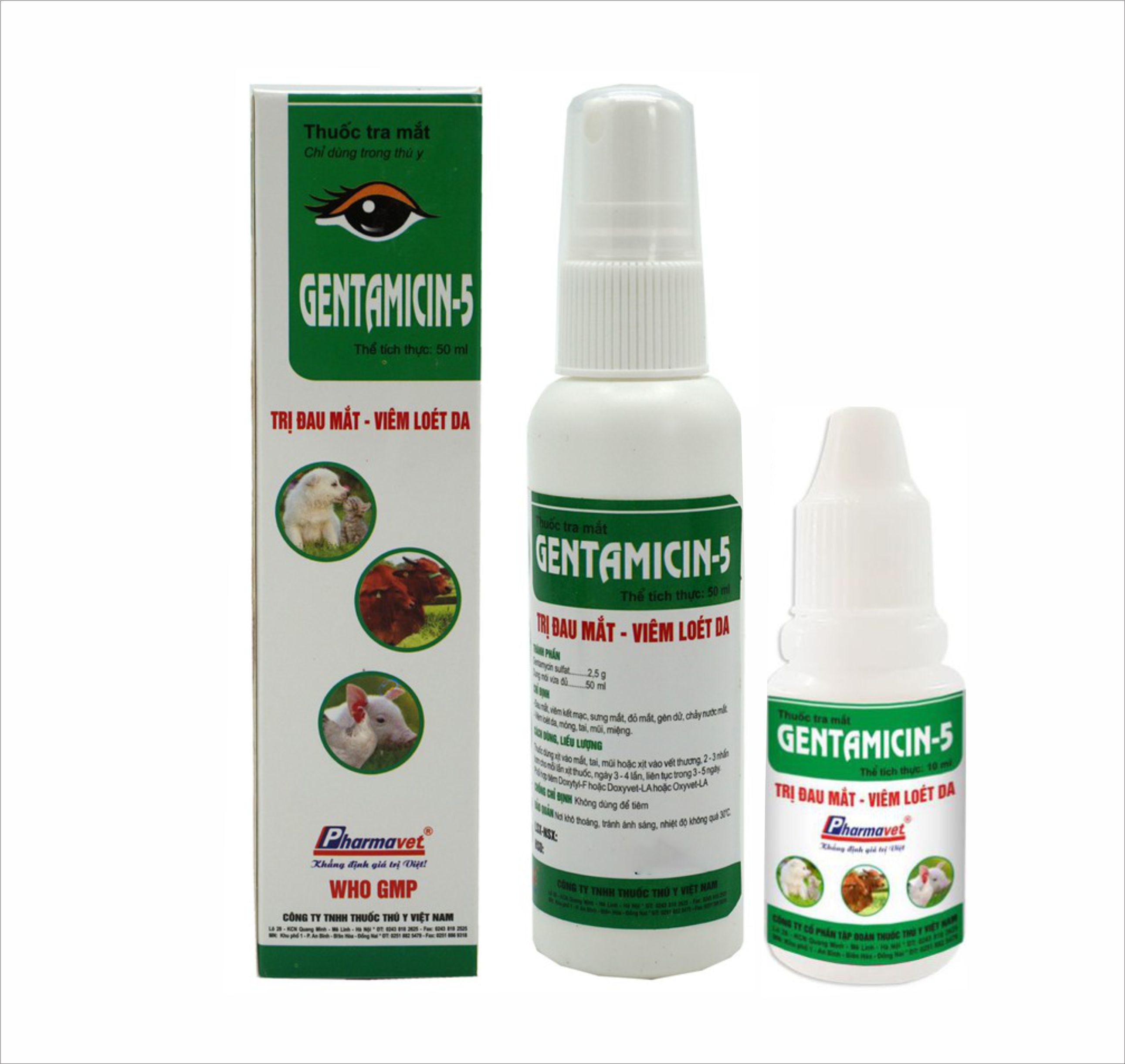 GENTAMICIN 5 - Thuốc mắt, Dung dich nhỏ mắt, viêm loét da dùng cho vật nuôi