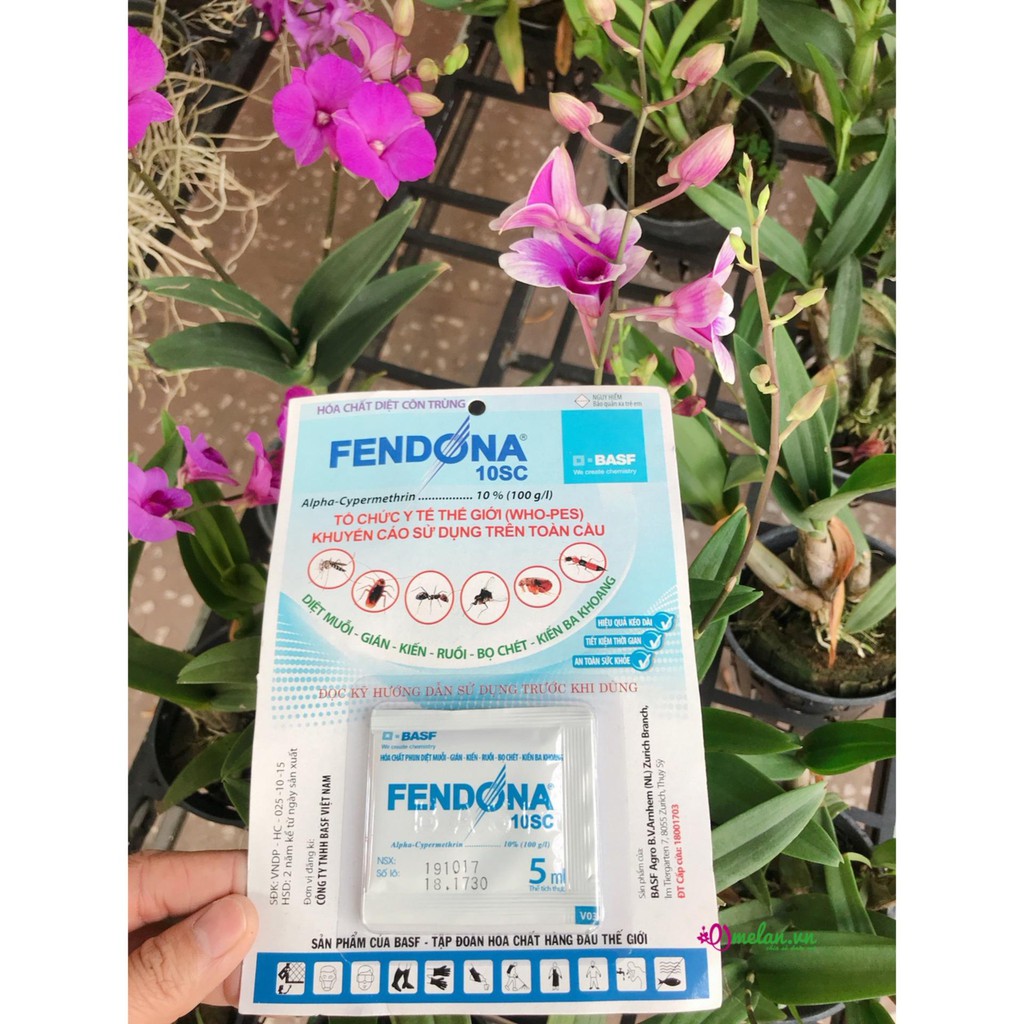 Fendona hóa chất diệt côn trùng 10sc - 5ml/vỉ - diệt muỗi, diệt ruồi, diệt kiến, diệt gián ...
