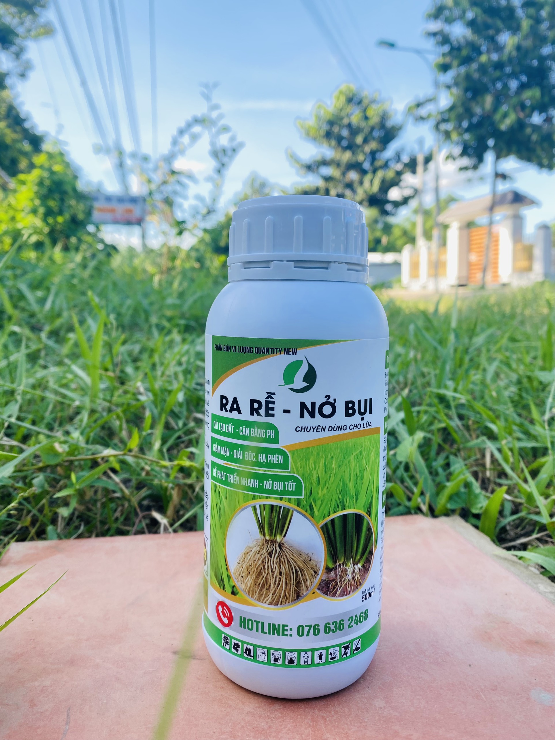 Phân bón cho lúa - ra rễ, nở bụi