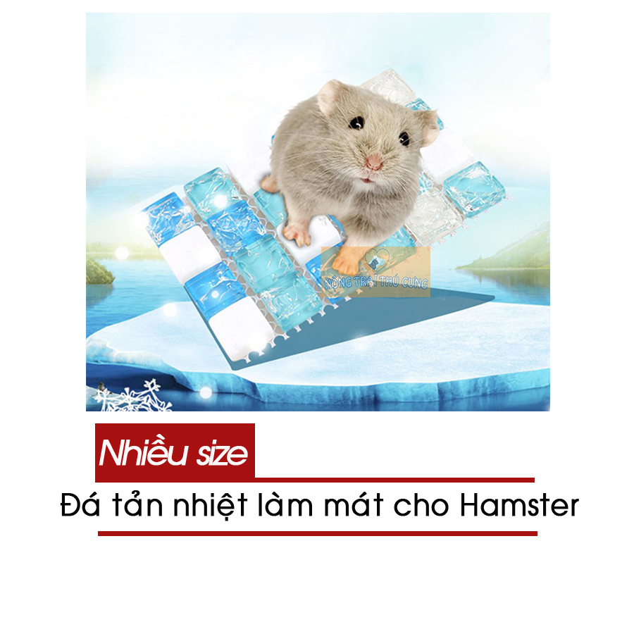 Đá làm mát - đá tản nhiệt cho hamster - nhiều size - giao màu ngẫu nhiên -