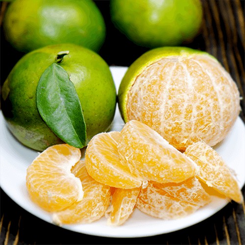 Combo 2 Cây Quýt Ngọt