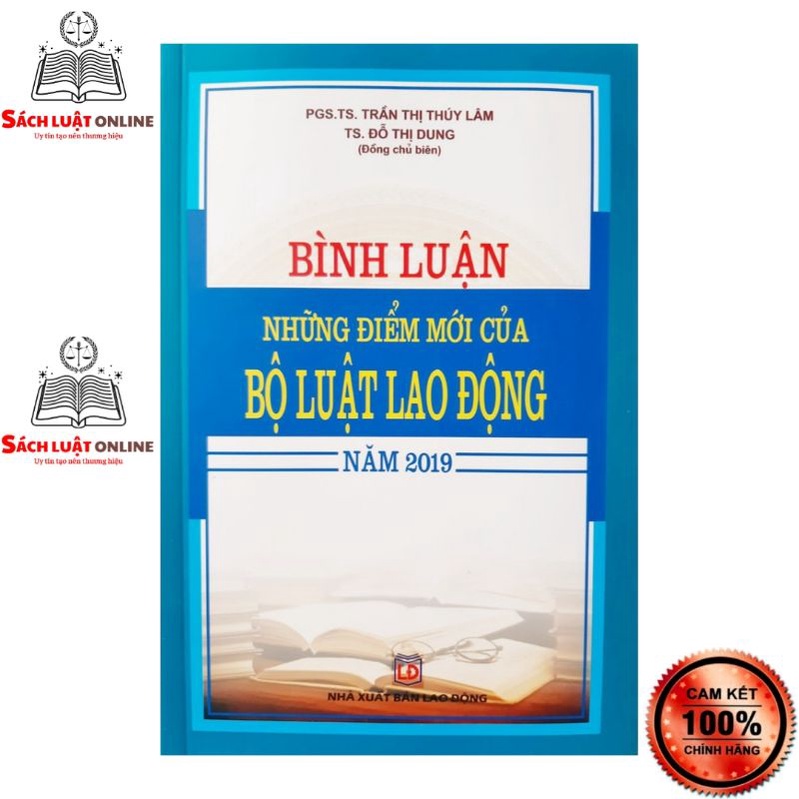 Sách - Bình luận những điểm mới của Bộ luật Lao động năm 2019
