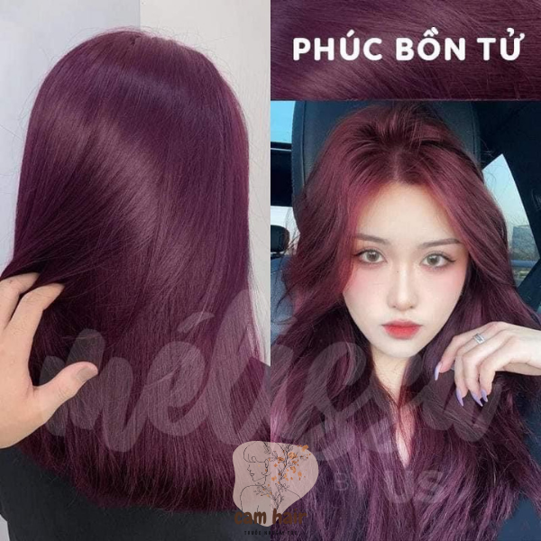 Thuốc nhuộm tóc tím phúc bổn tử nhuộm tại nhà