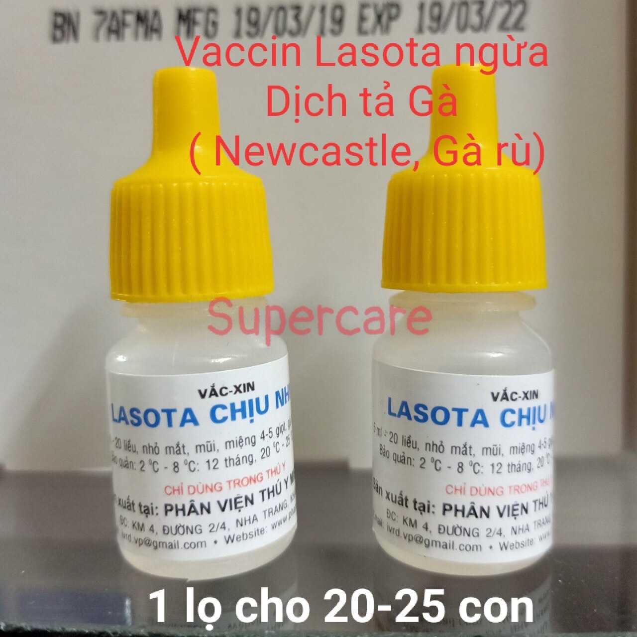 [Hoàn tiền 10%] [CÓ HỎA TỐC] Combo 2 Lọ Lasota Chịu Nhiệt - Dịch Tả Gà Rù Phân Xanh Trắng