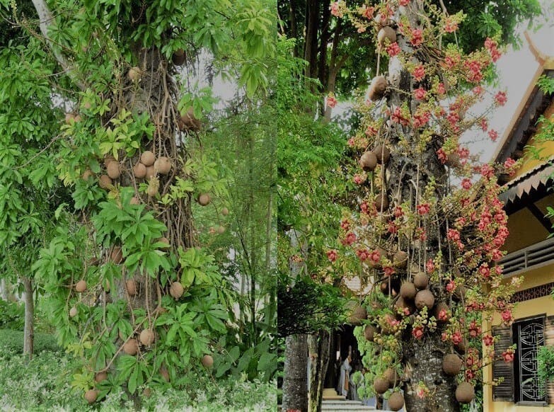 QjScbKk3kGkYRiMV66SD_simg_d0daf0_800x1200_max.jpg