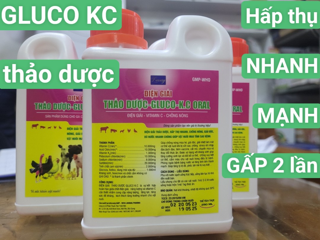Điện giải Gluco KC thảo dược nước 250ml& 1 lít thanh mát, giải nhiệt mùa hè cho thú cưng, gsgc