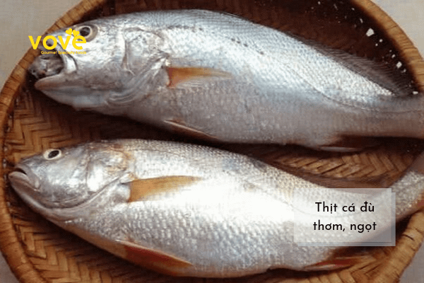 Cá khô xuất khẩu - Khô cá Đù chất lượng cao, Sạch, Thơm Ngon, Giàu dinh dưỡng  - Cam kết chất lượng, 100% từ tự nhiên -200g