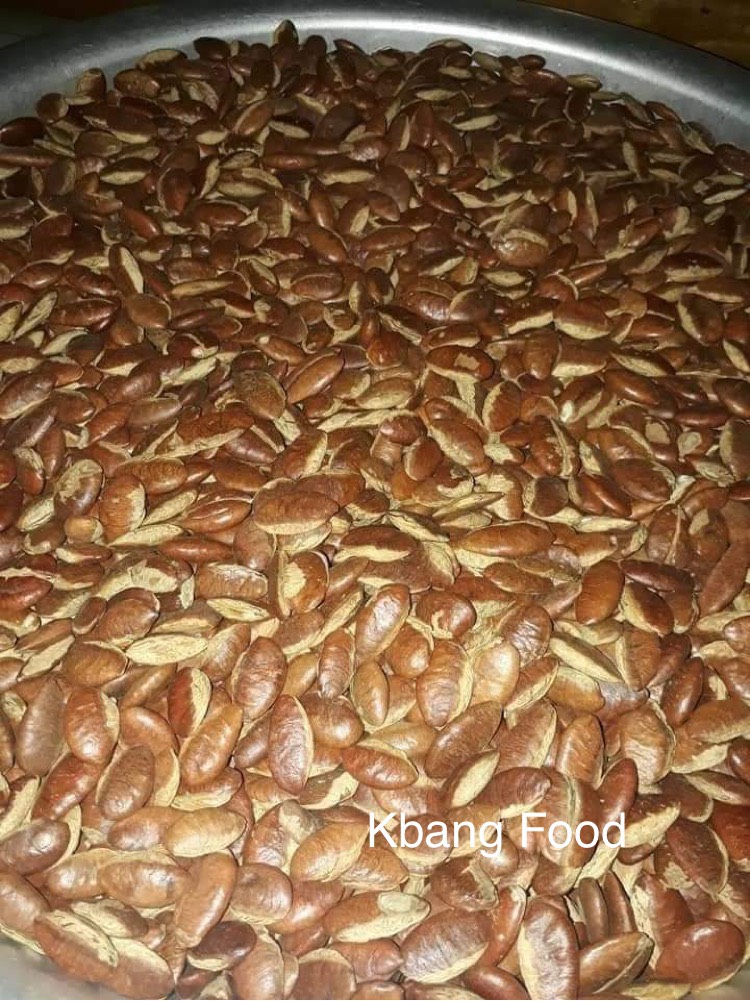 Hạt konia tươi ngon/chuẩn vị núi rừng/túi chân không 2000gr-3000gr