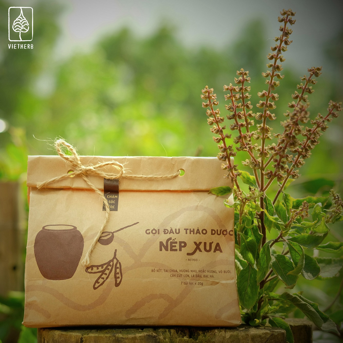 Gội đầu thảo dược Nếp Xưa - sạch gàu, dưỡng tóc dài mượt