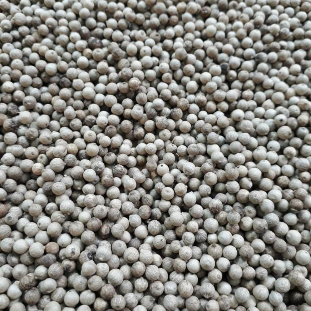 Tiêu sọ xám đặc biệt