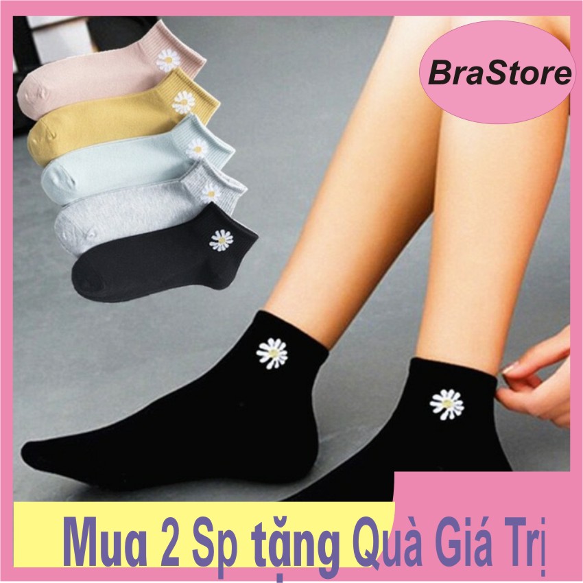 Combo 5 đôi tất nữ cổ ngắn cotton hoa cúc hot nhất 2020