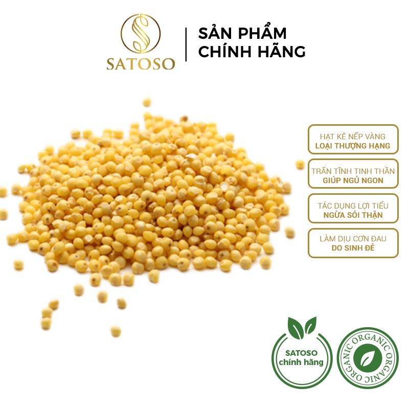 Hạt kê nếp vàng thượng hạng giàu dưỡng chất tốt cho sức khỏe SATOSO 1kg